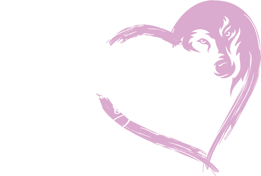 Coaching by Suzie logo